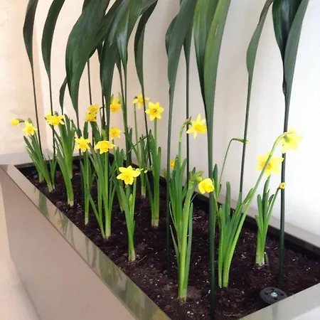Hotel Central 3* 발데페나스